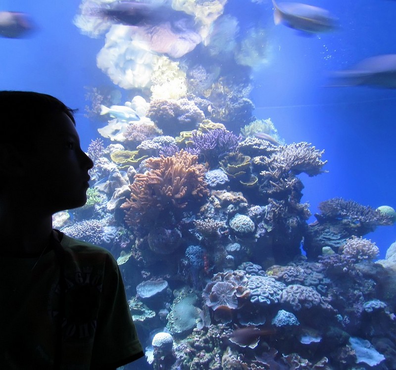 nature  cube&nbsp;-&nbsp;���� ����, ���, �����, ����, ����,&nbsp;��������  ���  �����  ���� ��-��� ����..&nbsp;����� ��&nbsp;���� ������. ������: Canon PowerShot SX30 IS
