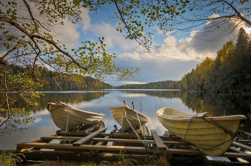 ��� Nuuksio&nbsp;-&nbsp;���, ������,&nbsp;����� ��� ��� ������ ���� .&nbsp;����� ��&nbsp;���� ���. ������: NIKON D300
