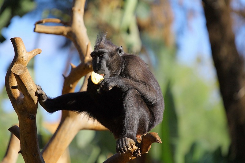 ������&nbsp;-&nbsp;���� ����, �����,&nbsp;�����.&nbsp;����� ��&nbsp;���� �����. ������: Canon EOS 450D