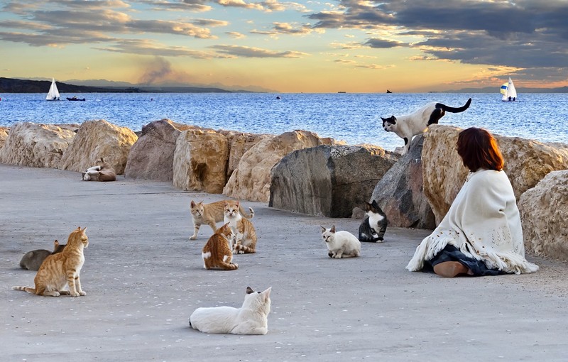 Theirs strange world&nbsp;-&nbsp;���� ����, �����, ����, ���� ����, ������,&nbsp;Eilat pier red sea cats cloudscape boats yachts sailing women marvel .&nbsp;����� ��&nbsp;���� �������. ������: NIKON D80