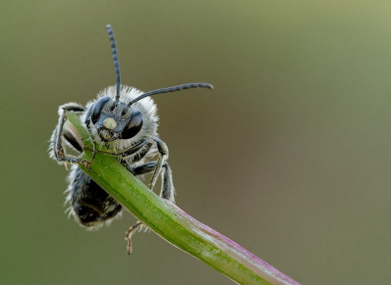 ����&nbsp;-&nbsp;���� ������, ���� ����, �����, �����, ������,&nbsp;����� ���(����� �������).&nbsp;����� ��&nbsp;���� �����. ������: Canon EOS Kiss X2