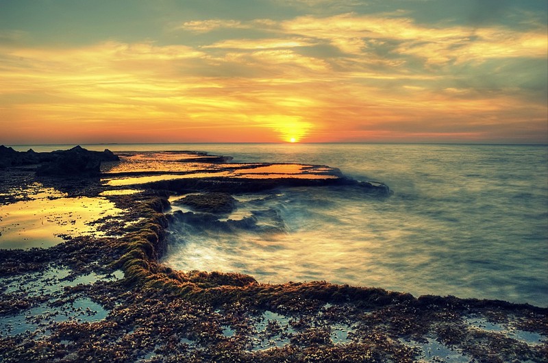 ����� ������&nbsp;-&nbsp;���� ������, ���, ���, ������, HDR,&nbsp;.&nbsp;����� ��&nbsp;���� ����. ������: NIKON D40
