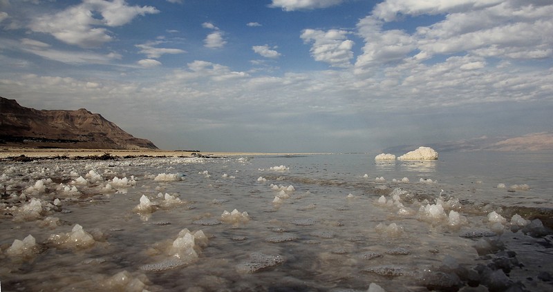 ים המוות