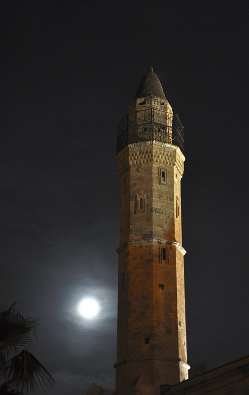 המגדל והירח