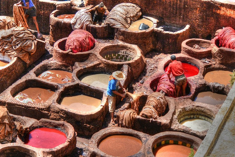 צובעי העורות במרוקו
