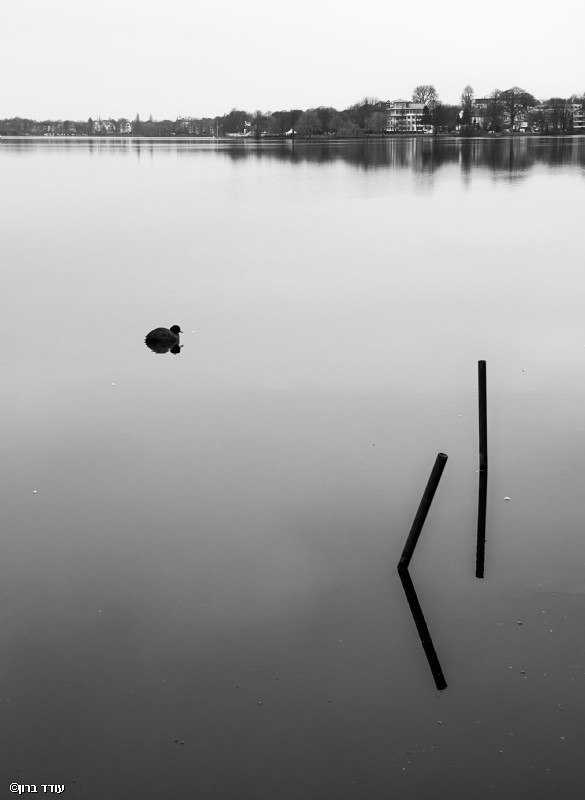 בדידות על האגם