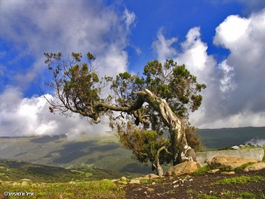 הרי הסמיאין אתיופיה