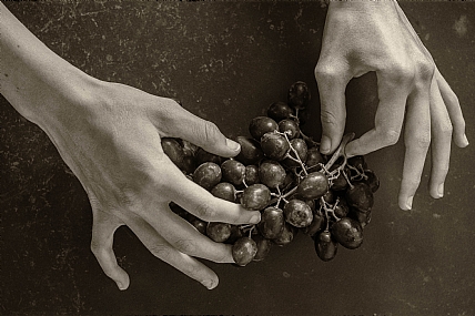 ידיים וענבים