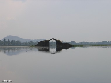 גשר באגם