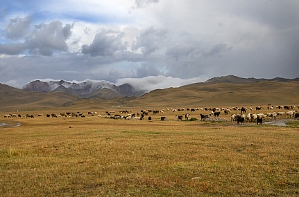 נוף בקירגיזסטן