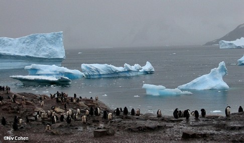 אנטארקטיק- נקודת מבט..