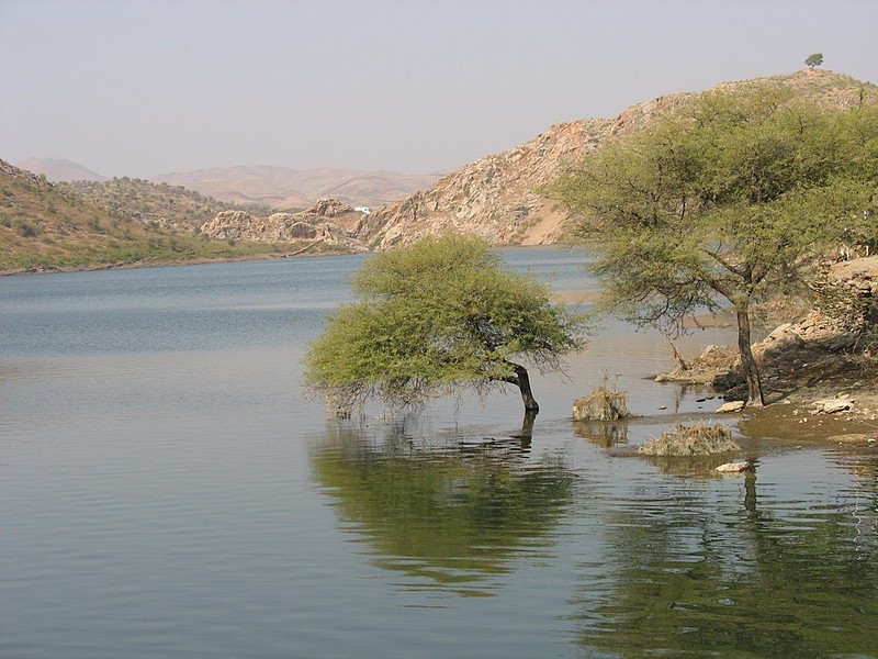טייגר לאג (אגם בהודו)