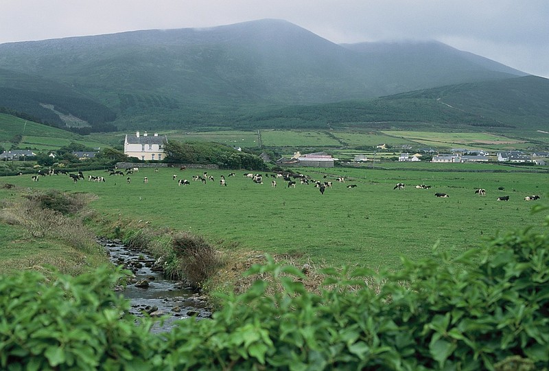 The Irish Countryside