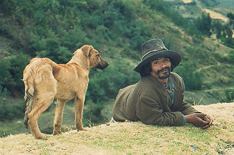הזקן והכלב בהרי האנדים