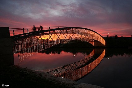גשר רידינג