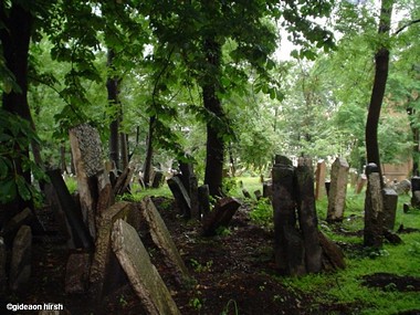 בית הקברות בפראג