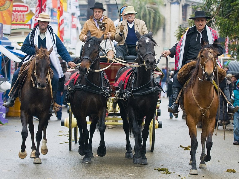 הרוכבים - אנשים, בעלי חיים, מקומות בעולם, אנשים, דרום אמריקה, סוסים, גאוצ'וס  סוסים   מונטבידאו   אורוגוואי. צילום של קובי דגן. המצלמה: NIKON D300