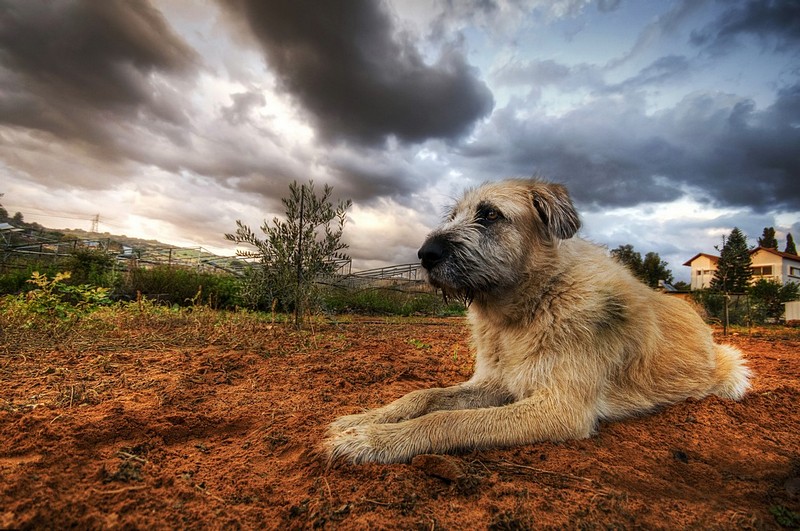 Waiting,,,&nbsp;-&nbsp;���� ������, ���� ����, �����, HDR,&nbsp;��� �����  ����  ����.&nbsp;����� ��&nbsp;��� ����. ������: NIKON D300
