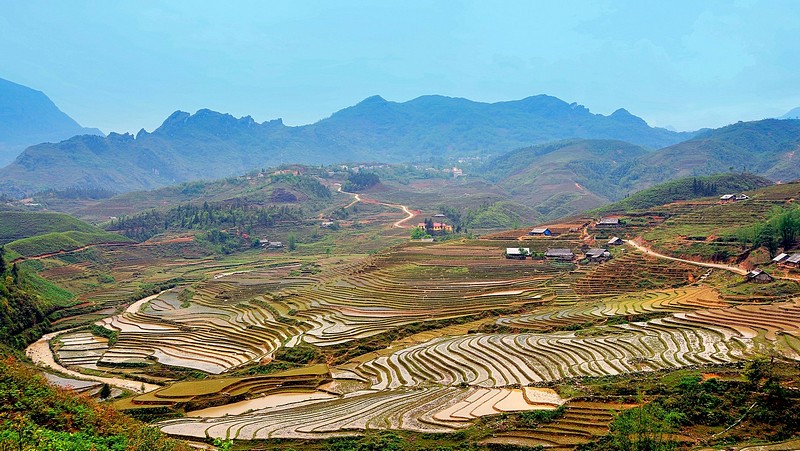 שדות האורז בויטנאם-2