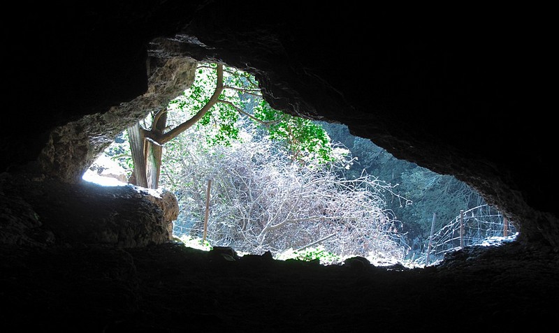 מתוך המערה