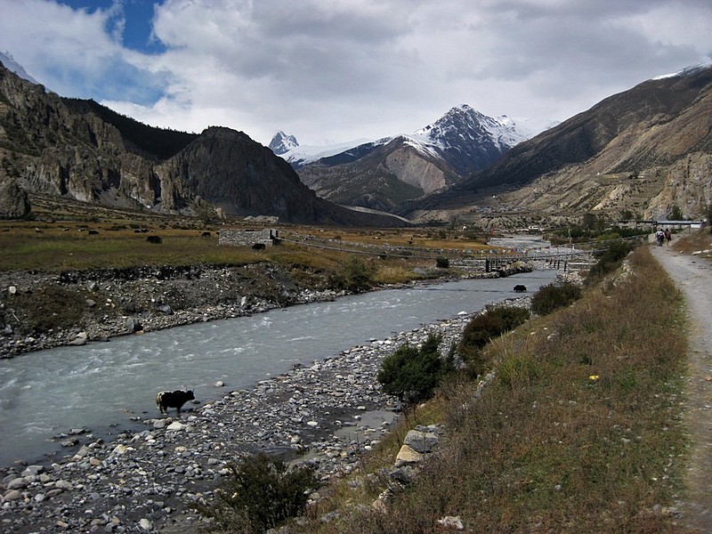 Annapurna Wild 3