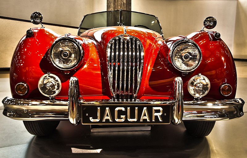 Shiny Jaguar