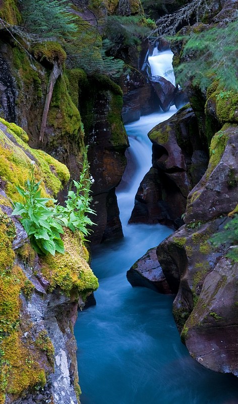 Avalanche Creek