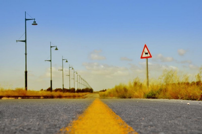 Yellow Road&nbsp;-&nbsp;�����, ������, ���� ����, ������� ������, ������,&nbsp;���� ����� �����.&nbsp;����� ��&nbsp;������ ����. ������: NIKON D90