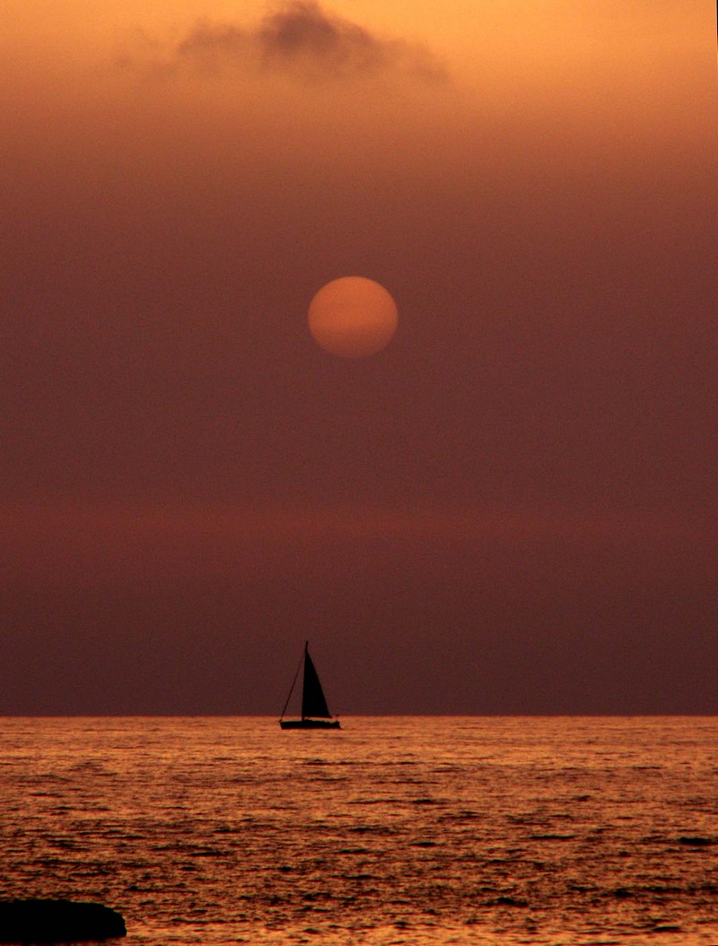 אלנה רגינסקי