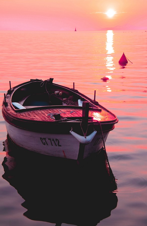 זאב מנדלוביץ