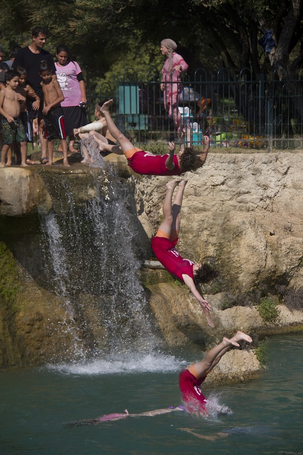 זאב מנדלוביץ