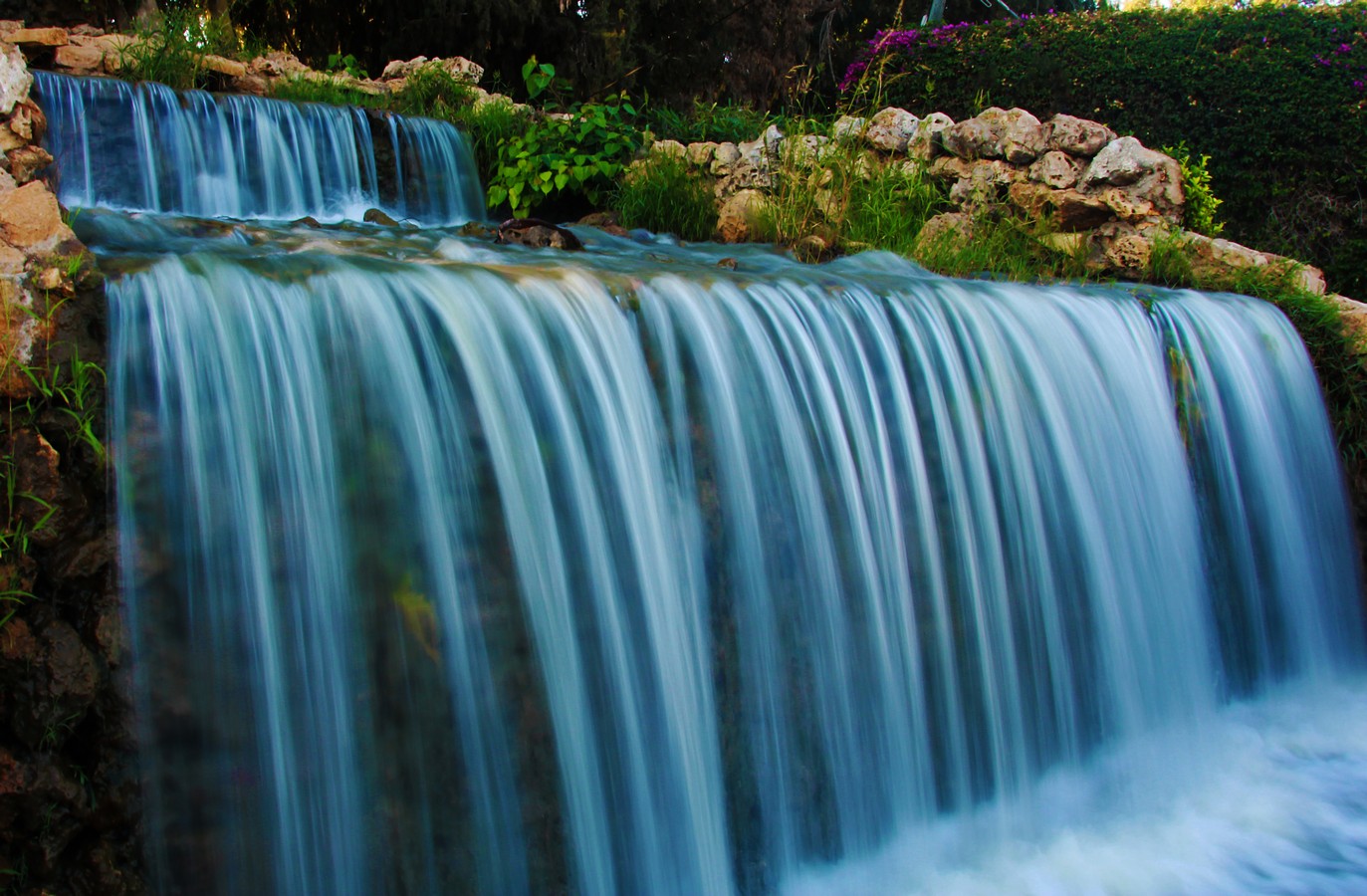 חי דוד סויסה