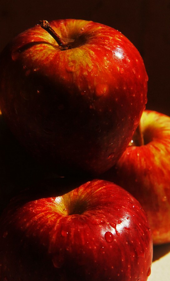 מיקי בן ארי מזרחי