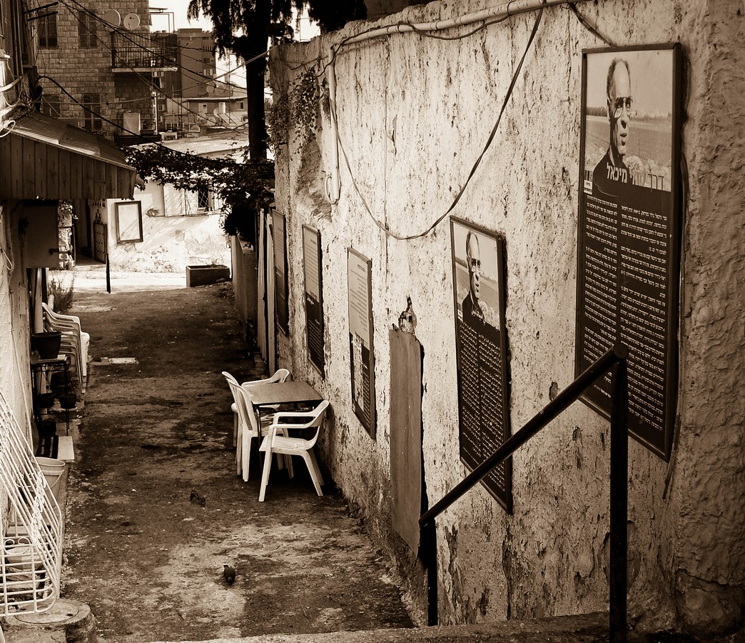 ימימה פלדמן