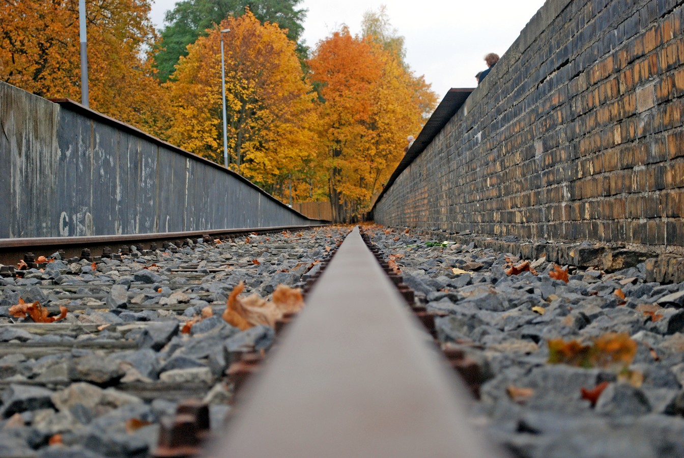 אהוד אורינובסקי