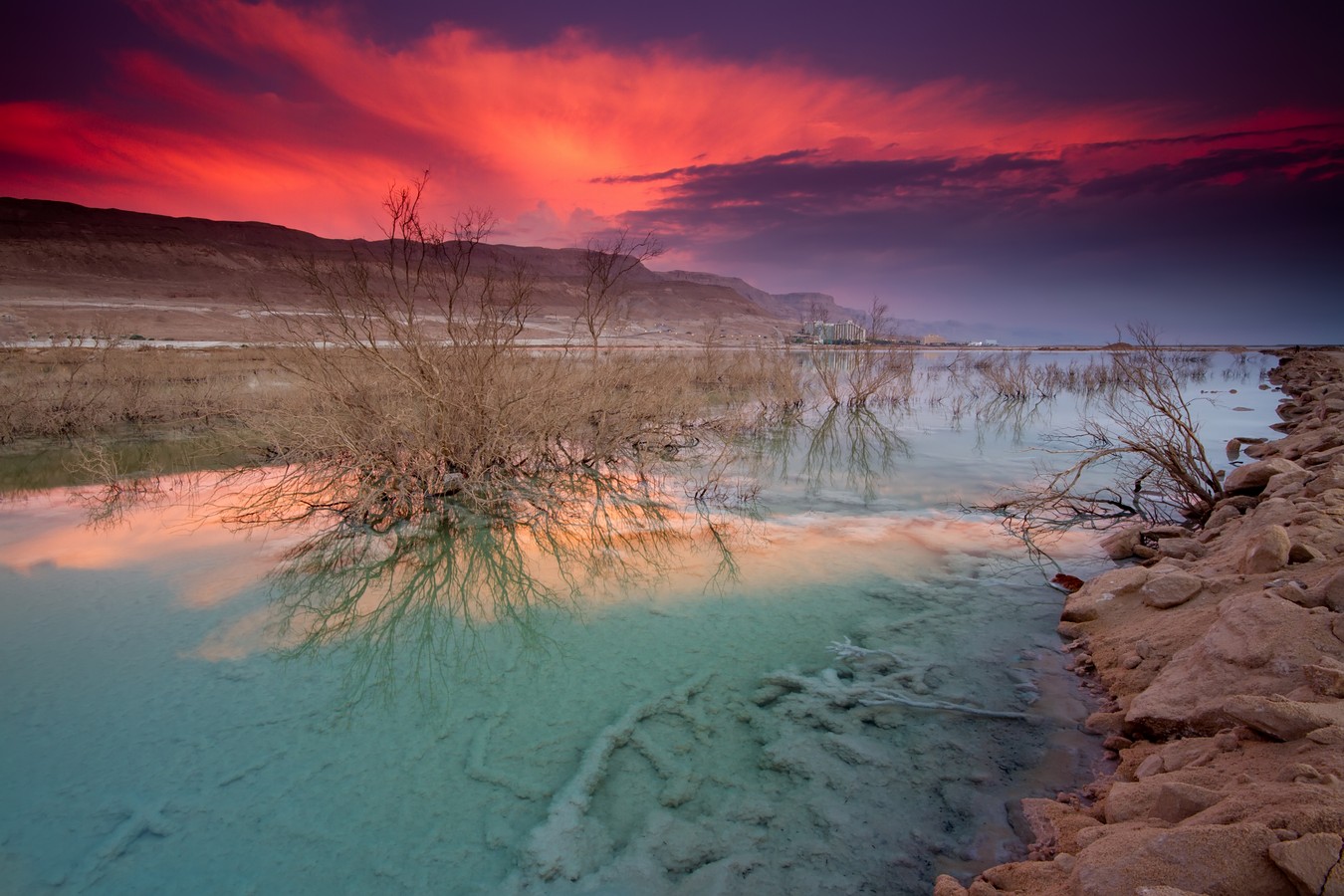 אמנון אייכלברג