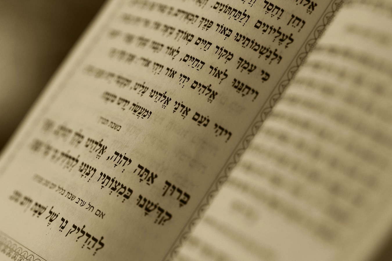 מיקי בן ארי מזרחי