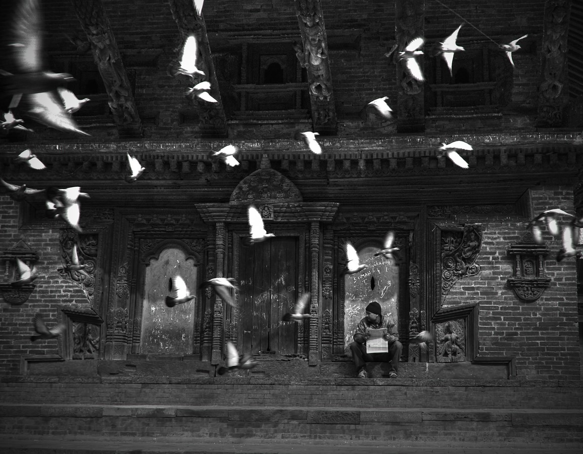 פיני  אביבי