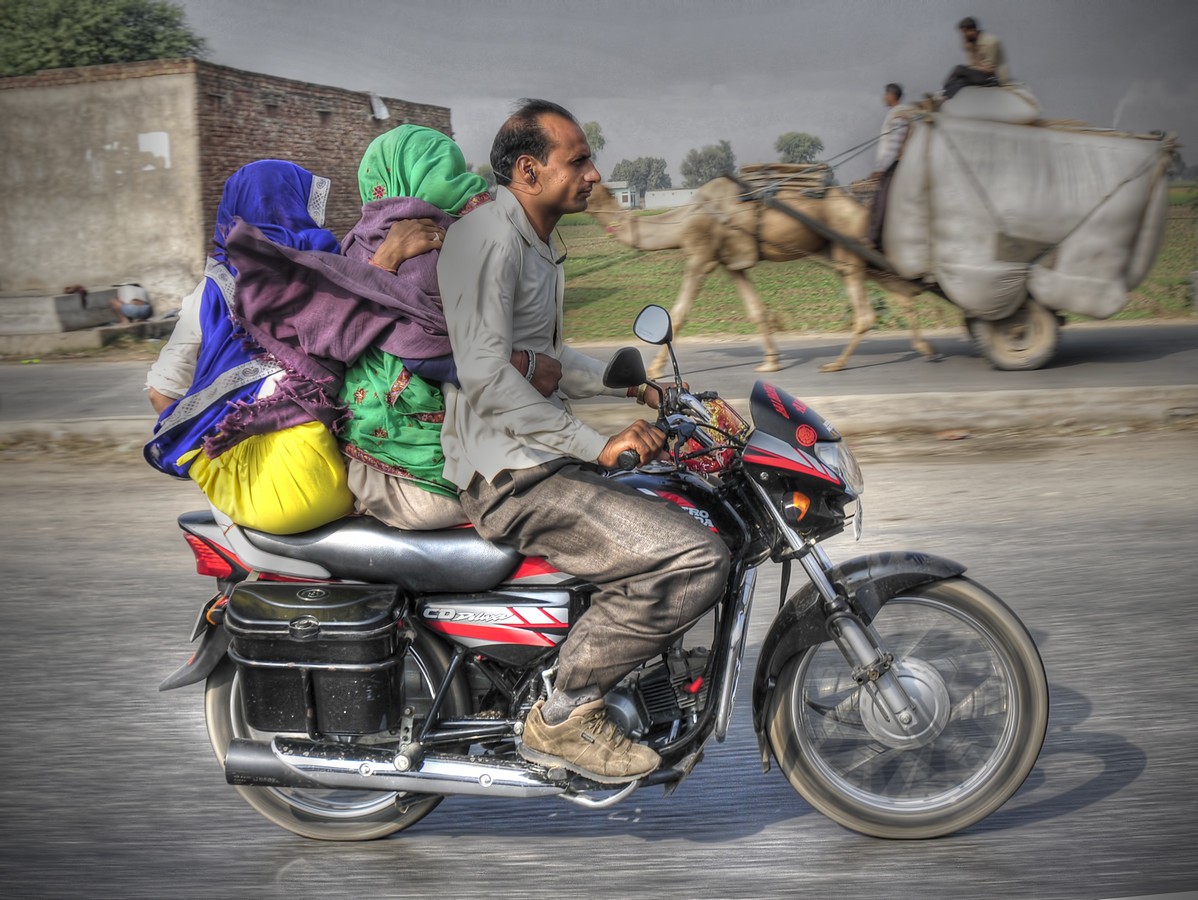 פיני  אביבי