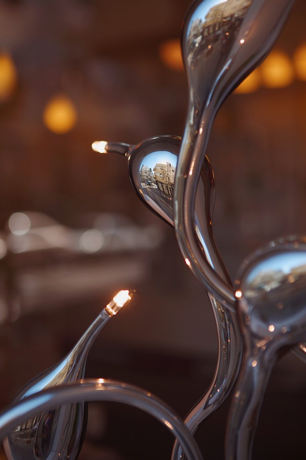 שרון נתנסון