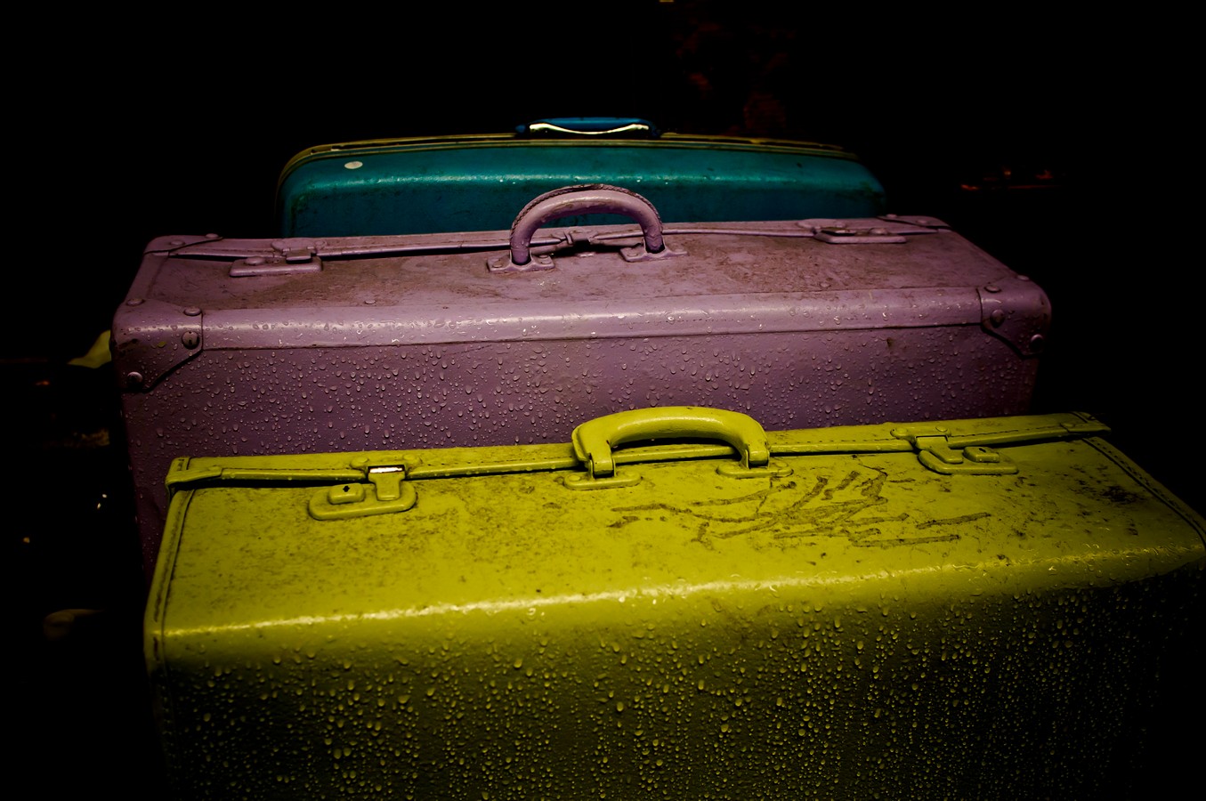 לארי לייבוביץ