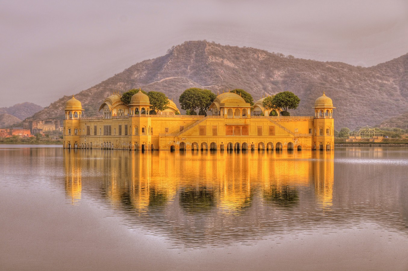 פיני  אביבי