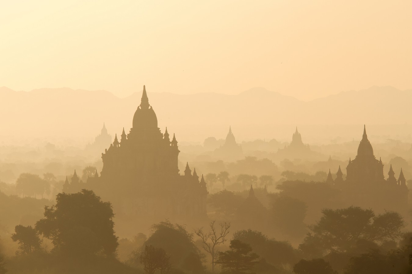 אמנון אייכלברג