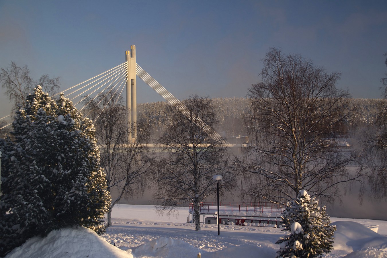 זאב מנדלוביץ