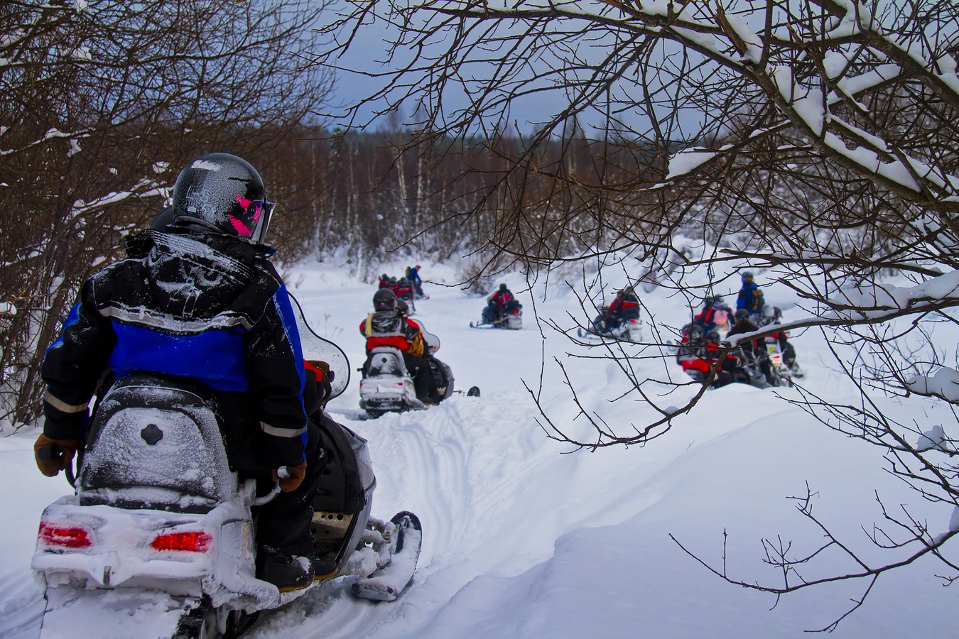 זאב מנדלוביץ