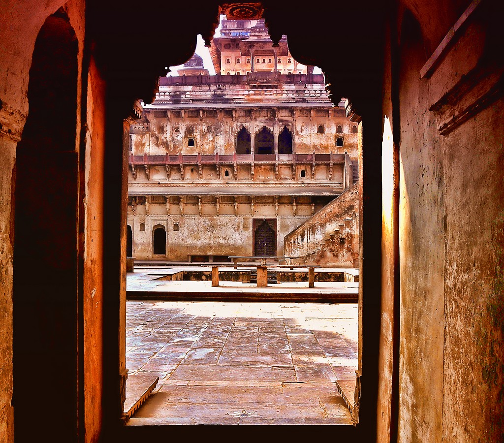 פיני  אביבי