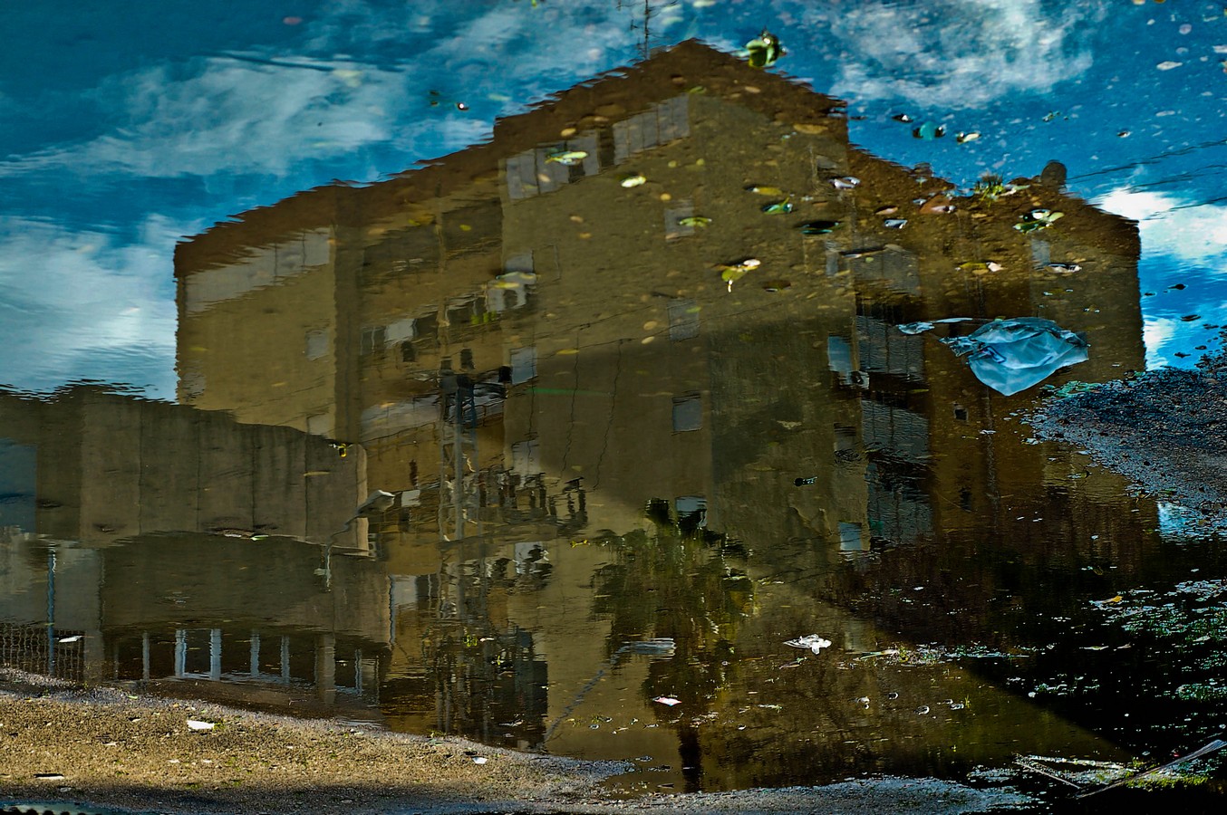 ימימה פלדמן