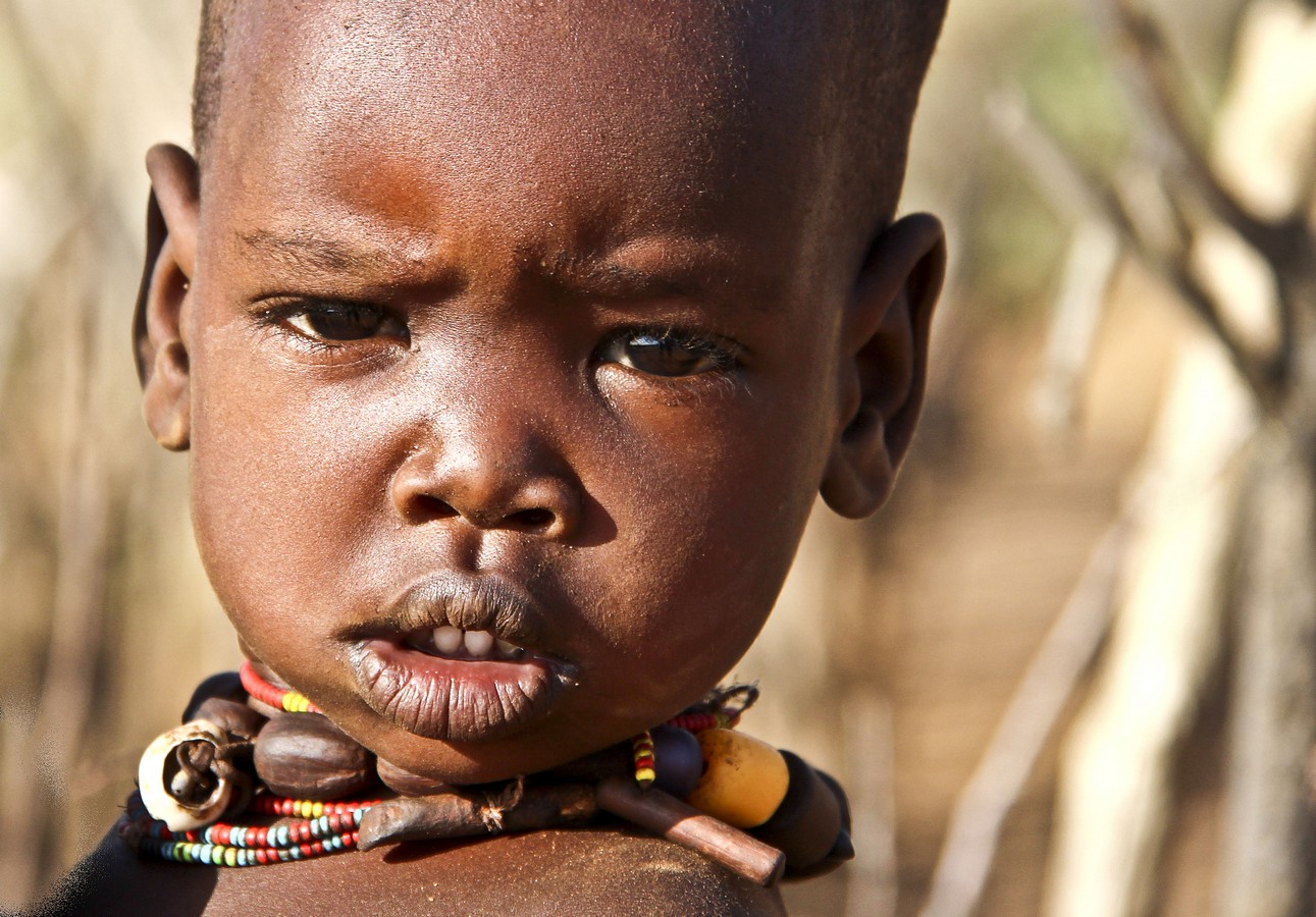 דרורה  בהרל 
