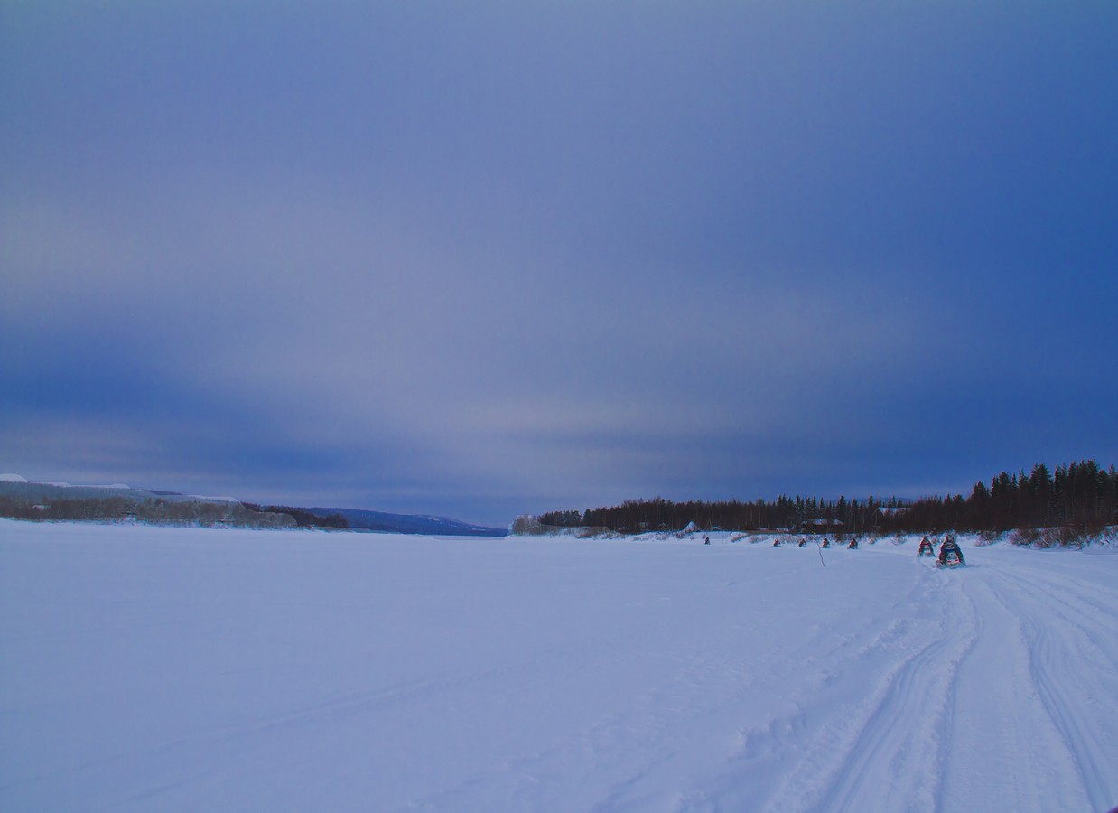 זאב מנדלוביץ