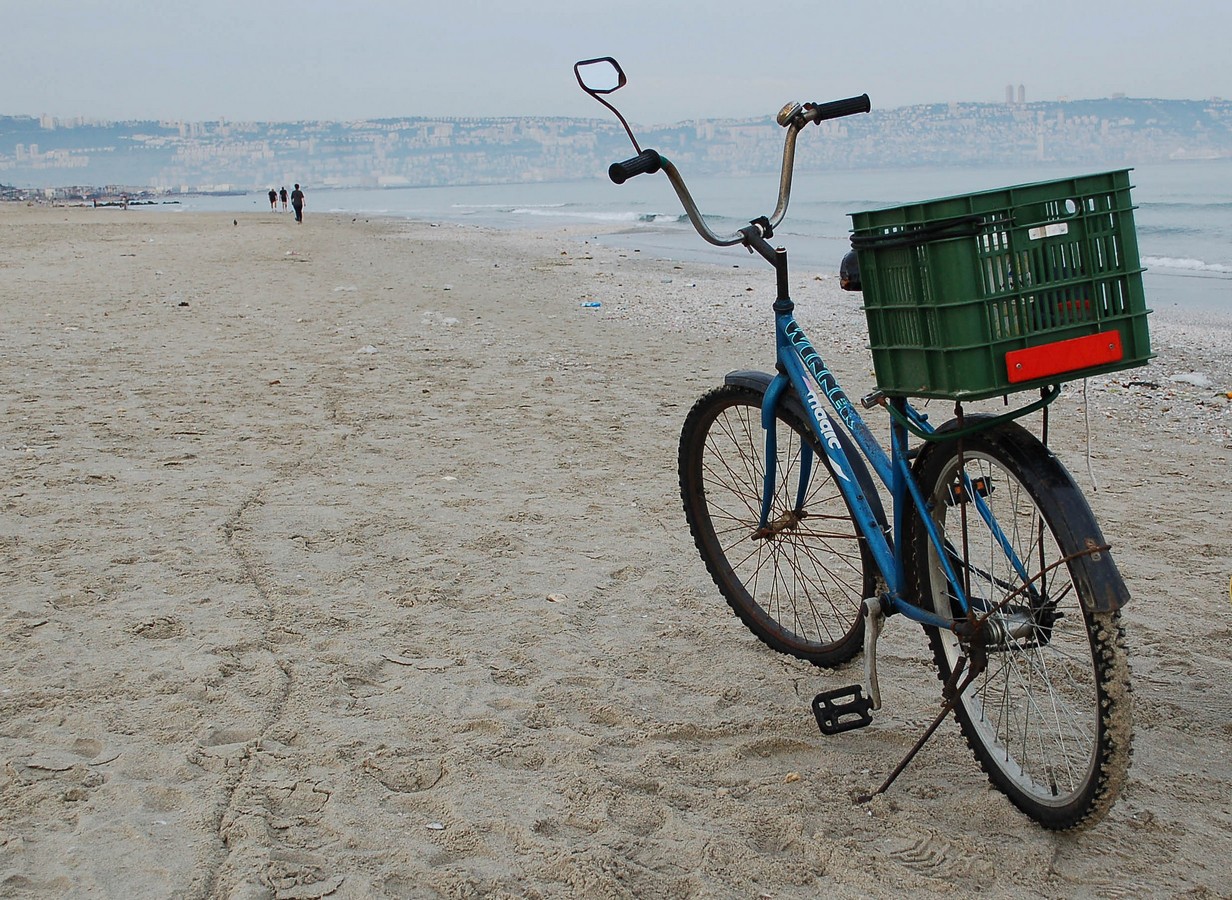 ימימה פלדמן